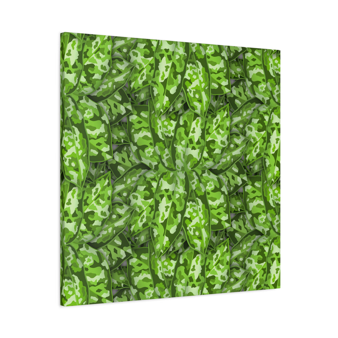 Aglaonema Pictum Canvas Wall Art Rare Plant Print Matte Finish For Modern Home Decor