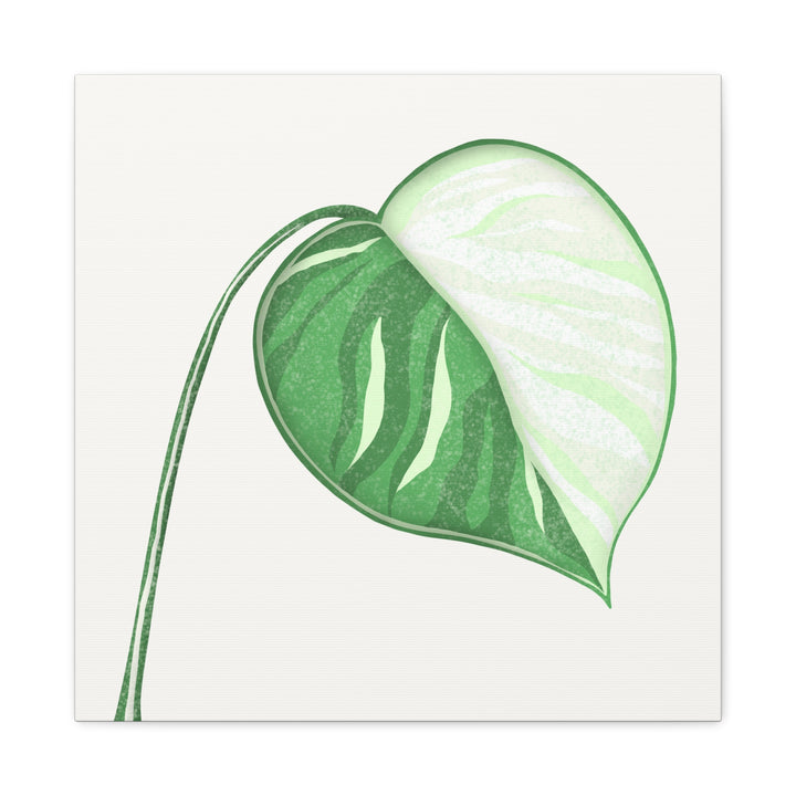 Monstera Albo Canvas Large Stretched Premium Quality Cotton Canvas Wall Art Tropical Leaf Poster Decor