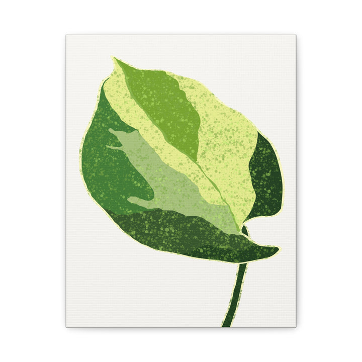 Manjula Pothos Botanical Canvas Print Matte Finish Stretched Canvas Wall Art 1.25 Inch Depth