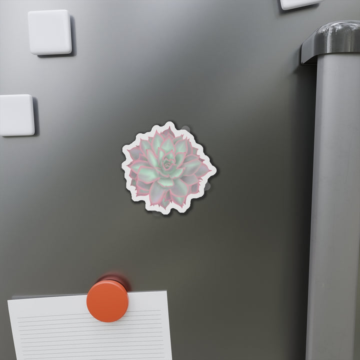 Echeveria Violet Queen Succulent Magnet