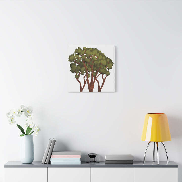 Pacific Madrone Canvas Print – Wall Art