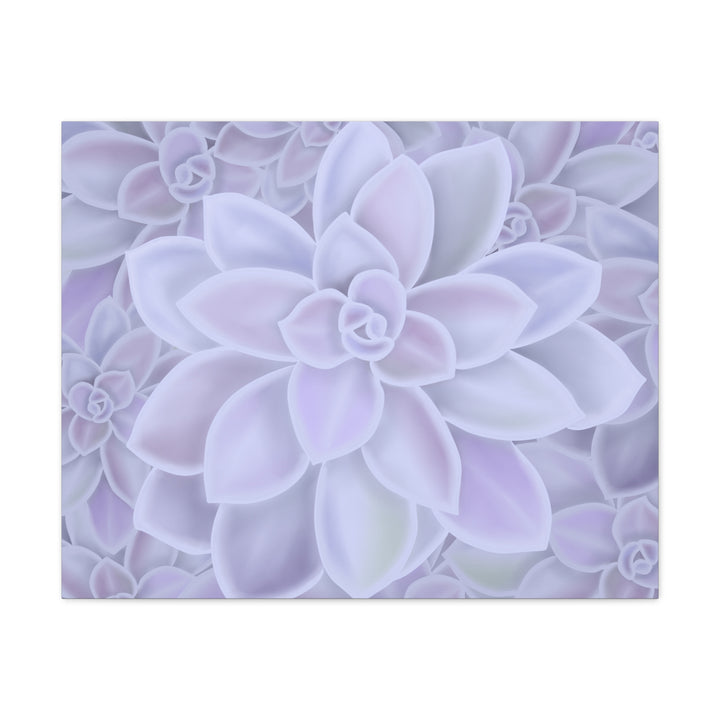 Graptopetalum Murasaki Succulent Canvas Art Print Pastel Purple Rosette Indoor Plant Decor