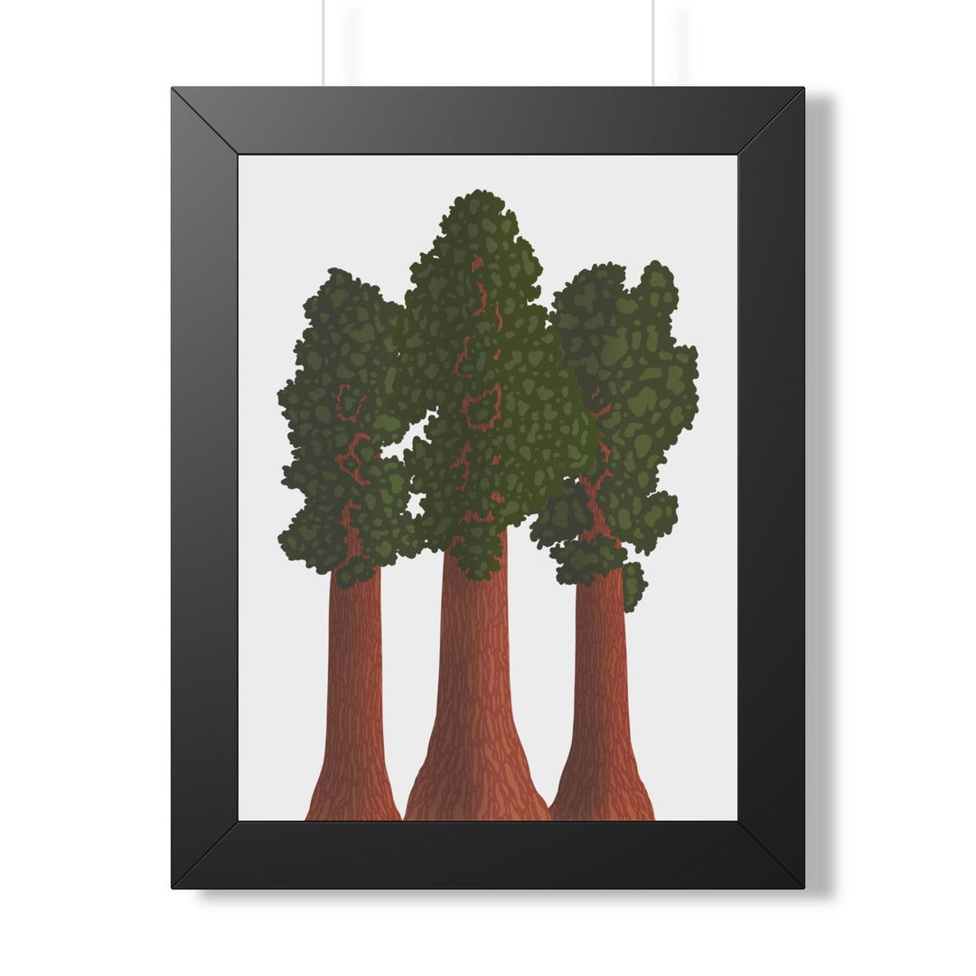 Giant Sequoias Framed Print – Wall Art