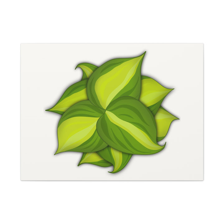 Philodendron Brasil Canvas Print Matte Stretched Canvas Indoor Plant Art For Modern Greenery Decor