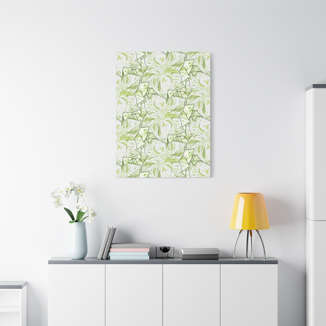 Snow Queen Pothos Canvas Print With Variegated White Leaves In Matte Finish For Modern Home Decor