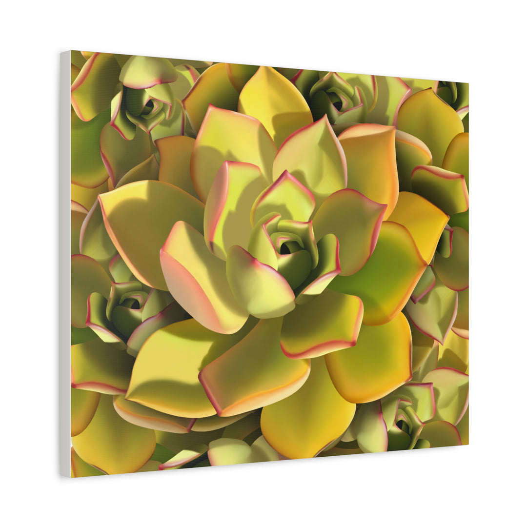 Succulent Canvas Art Vibrant Aeonium Print On Matte Canvas Wall Decor 12x18 Inches Indoor Home
