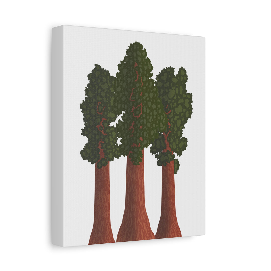 Giant Sequoias Canvas Print – Wall Art
