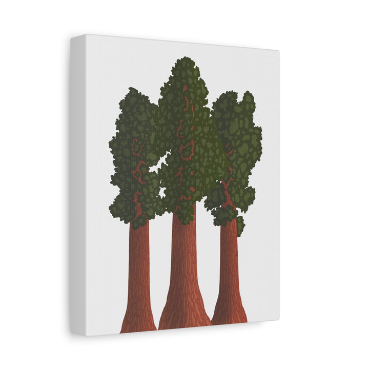 Giant Sequoias Canvas Print – Wall Art
