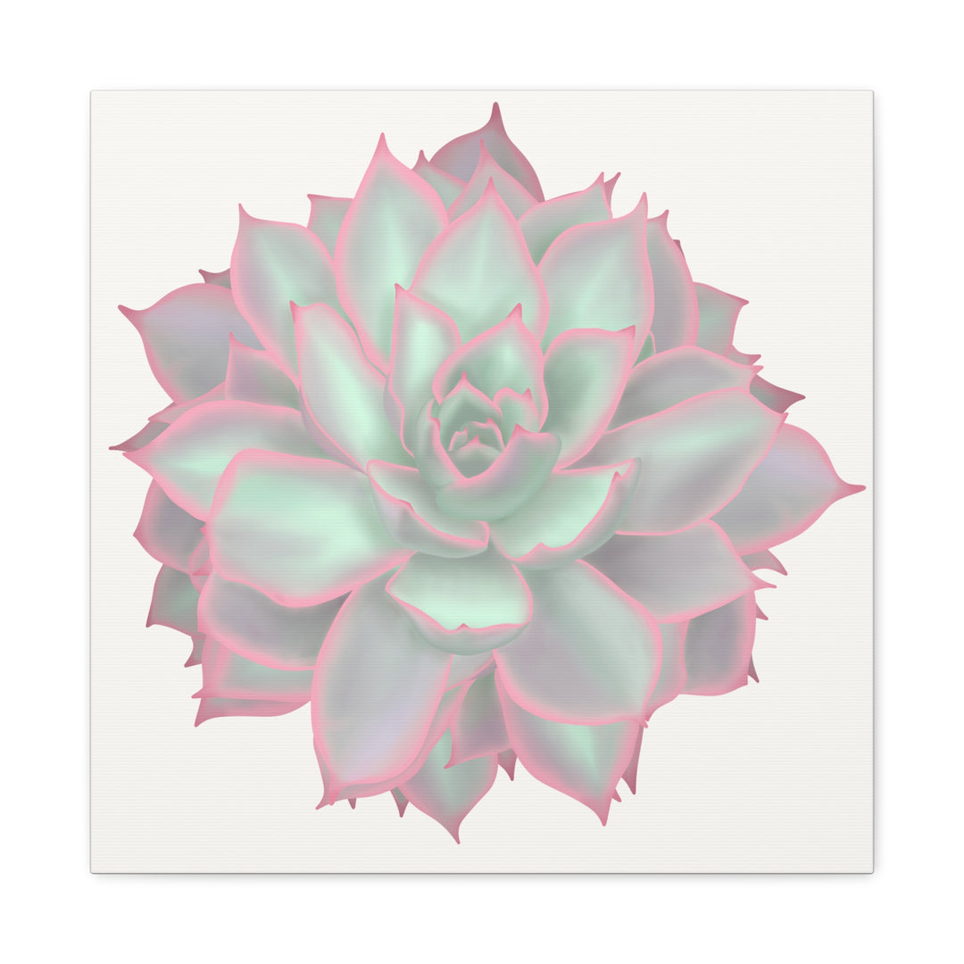 Echeveria Violet Queen Canvas Wall Art Rosette Succulent Print With Matte Finish