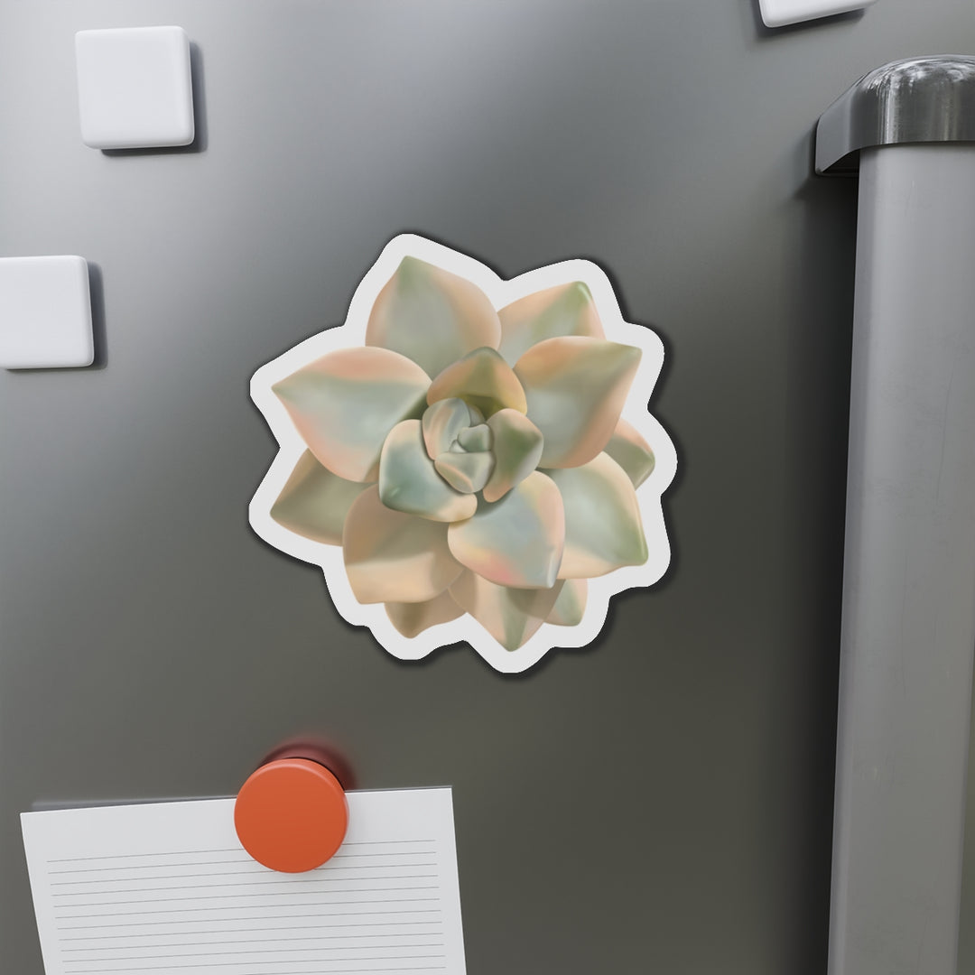 Graptoveria Titubans Succulent Magnet