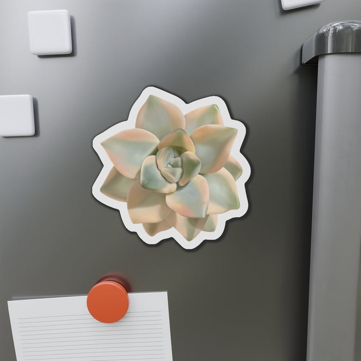 Graptoveria Titubans Succulent Magnet