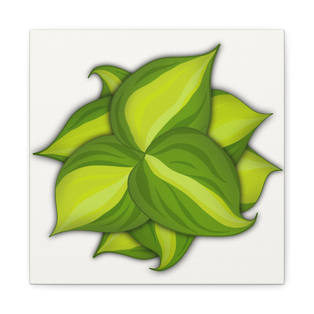 Philodendron Brasil Canvas Print Matte Stretched Canvas Indoor Plant Art For Modern Greenery Decor