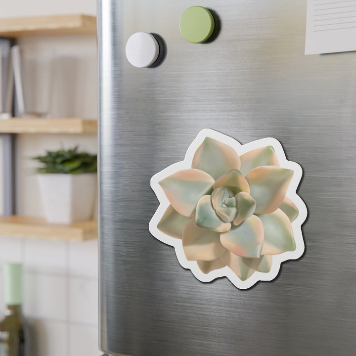 Graptoveria Titubans Succulent Magnet