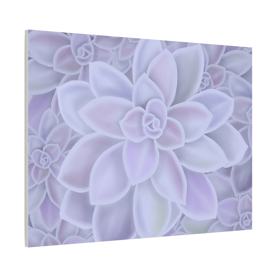 Graptopetalum Murasaki Succulent Canvas Art Print Pastel Purple Rosette Indoor Plant Decor