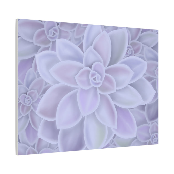 Graptopetalum Murasaki Succulent Canvas Art Print Pastel Purple Rosette Indoor Plant Decor