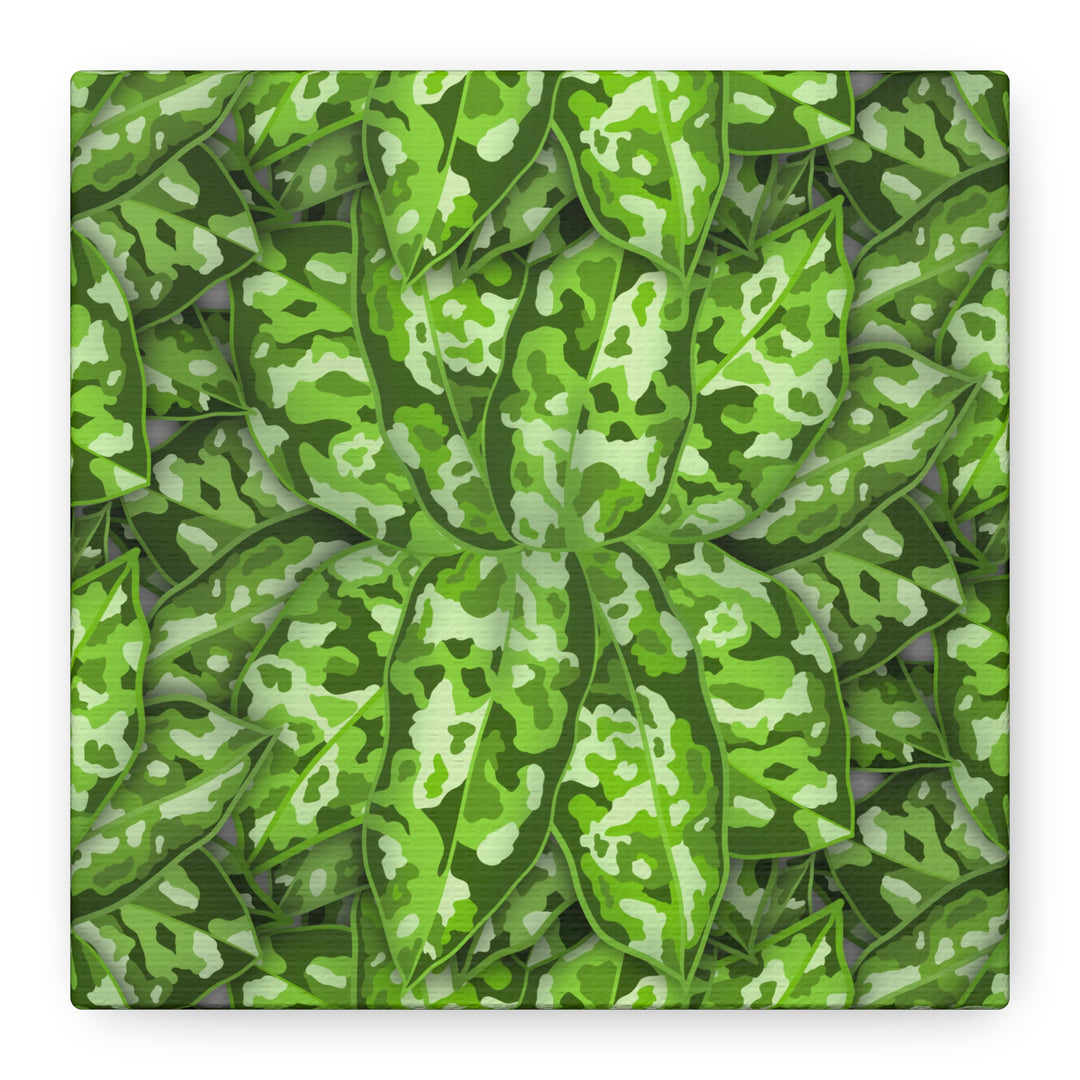 Aglaonema Pictum Canvas Wall Art Rare Plant Print Matte Finish For Modern Home Decor