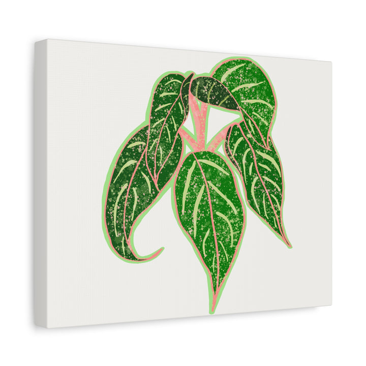Aglaonema Sparkling Sarah Botanical Canvas Print On Matte Stretch Canvas For Modern Living Room Decor