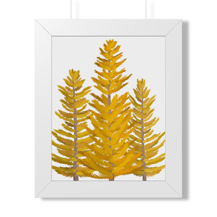 Western Larch Framed Print – Wall Art
