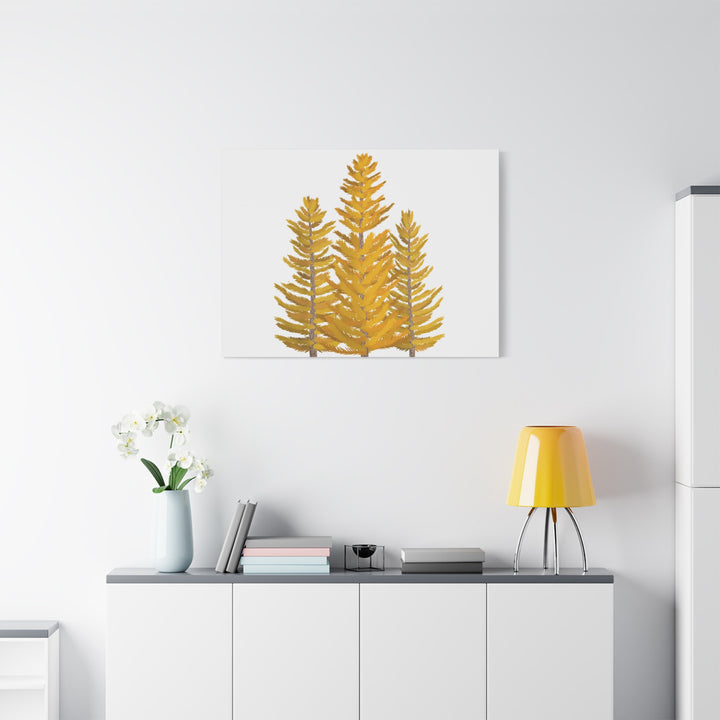 Western Larch Canvas Print – Wall Art