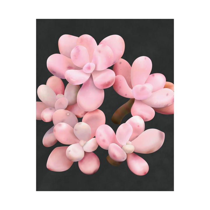 Pink Moonstone Botanical Print – Unframed Wall Art