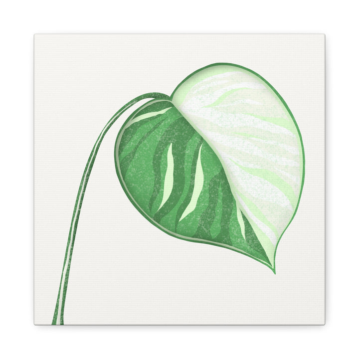 Monstera Albo Canvas Large Stretched Premium Quality Cotton Canvas Wall Art Tropical Leaf Poster Decor