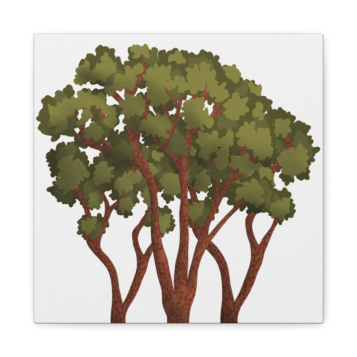 Pacific Madrone Canvas Print – Wall Art