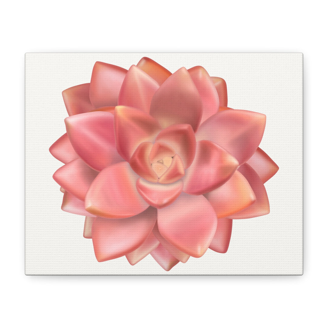 Succulent Canvas Art California Sunset Rosette Botanical Wall Art Print The Potted Pixel