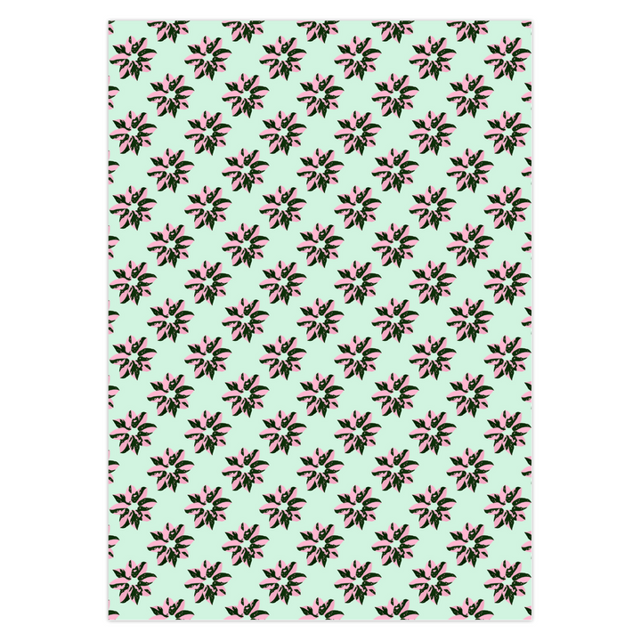POS Pink Princess Philodendron Pattern Greeting Card – 5 Pack
