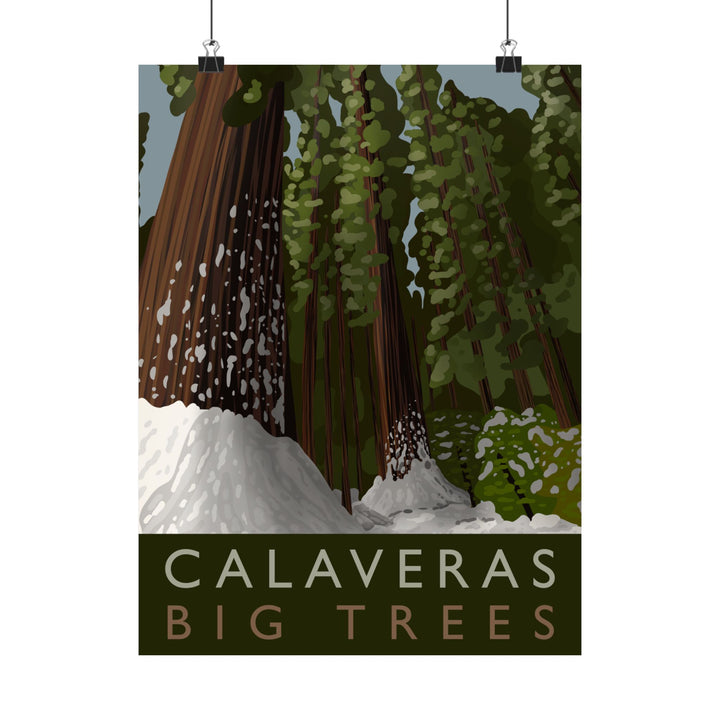 Calaveras Big Trees Print – Unframed Wall Art