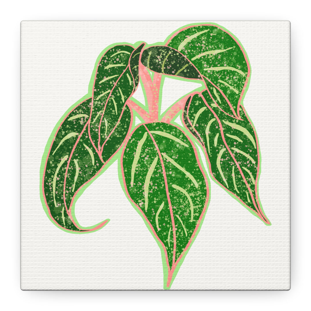 Aglaonema Sparkling Sarah Botanical Canvas Print On Matte Stretch Canvas For Modern Living Room Decor