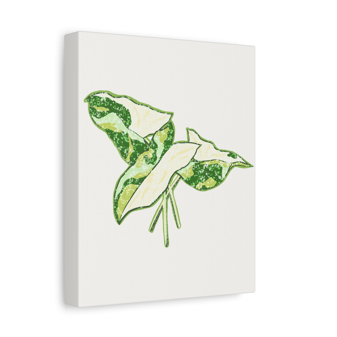 Marble Syngonium Canvas Botanical Wall Art Stretched Print On Durable Cotton Canvas Matte Finish