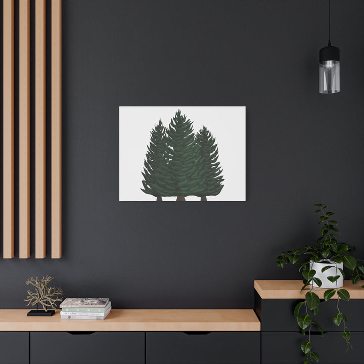 Douglas Fir Canvas Print – Wall Art