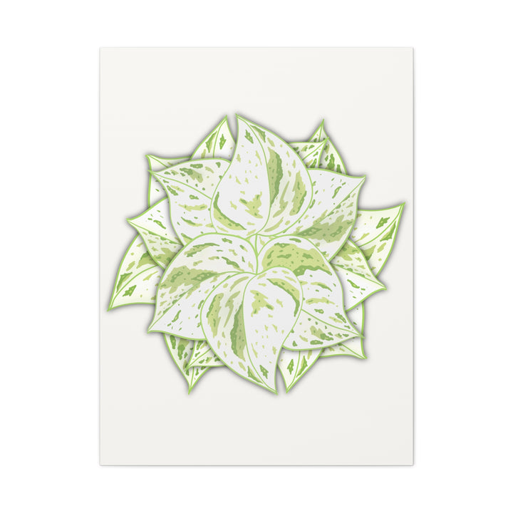 Snow Queen Pothos Canvas Wall Art Variegated Indoor Plant Leaf Poster Print Cotton Canvas