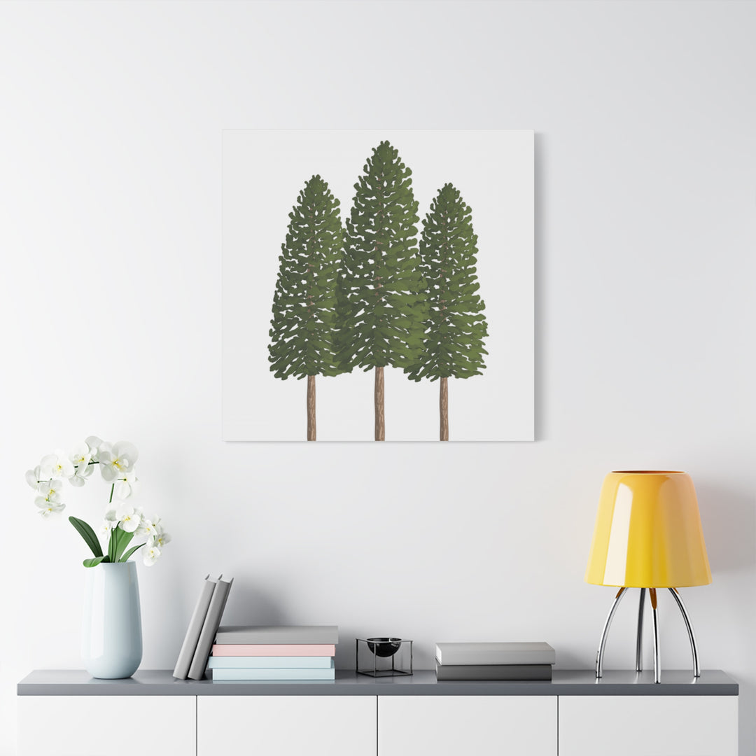 Three Ponderosa Pine Canvas Wall Art Matte Stretched Print Minimalist Forest Landscape Decor