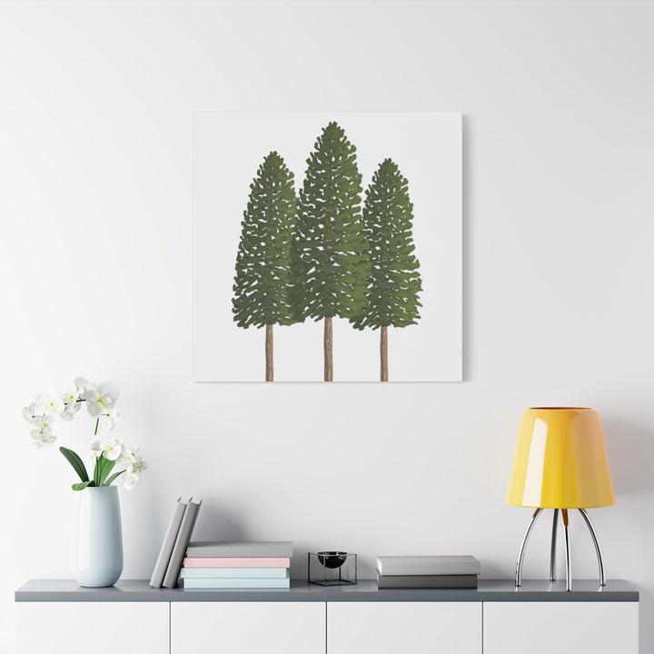 Three Ponderosa Pine Canvas Wall Art Matte Stretched Print Minimalist Forest Landscape Decor