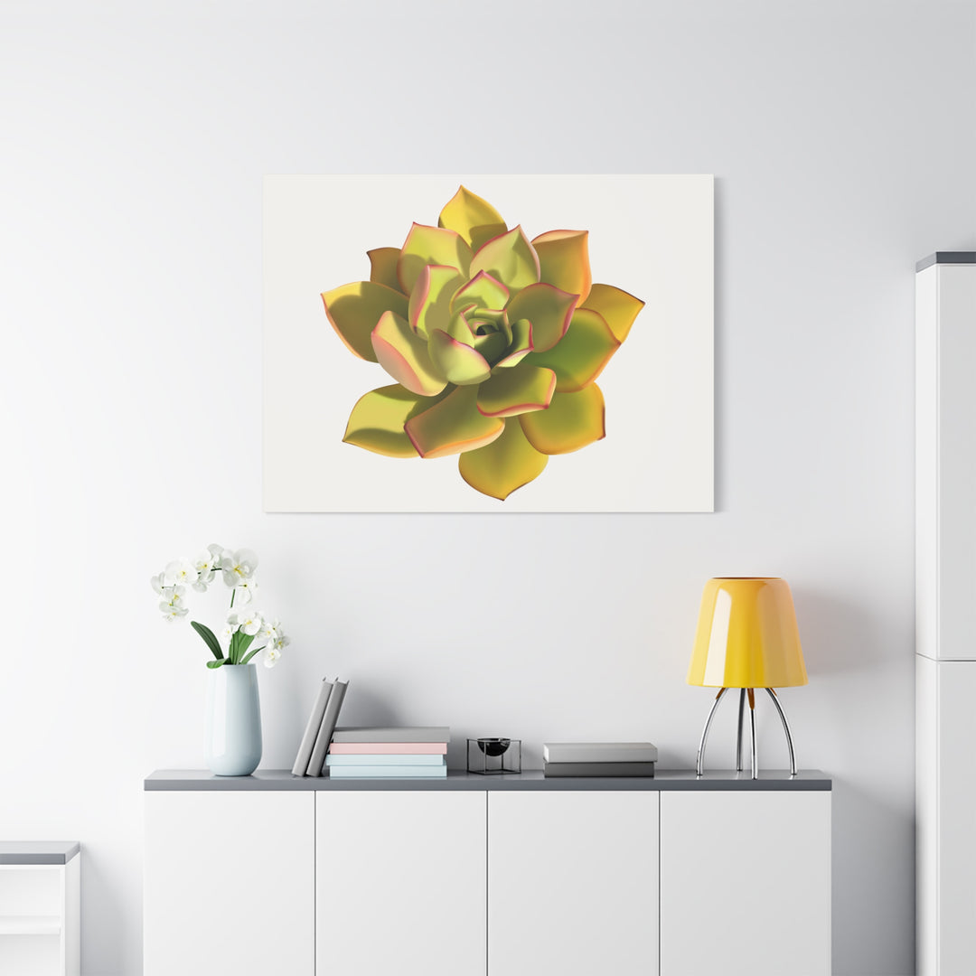 Noble Aeonium Succulent Canvas Wall Art Print for Modern Home Decor by The Potted Pixel
