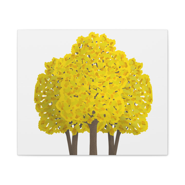Big Leaf Maple Canvas Print – Wall Art