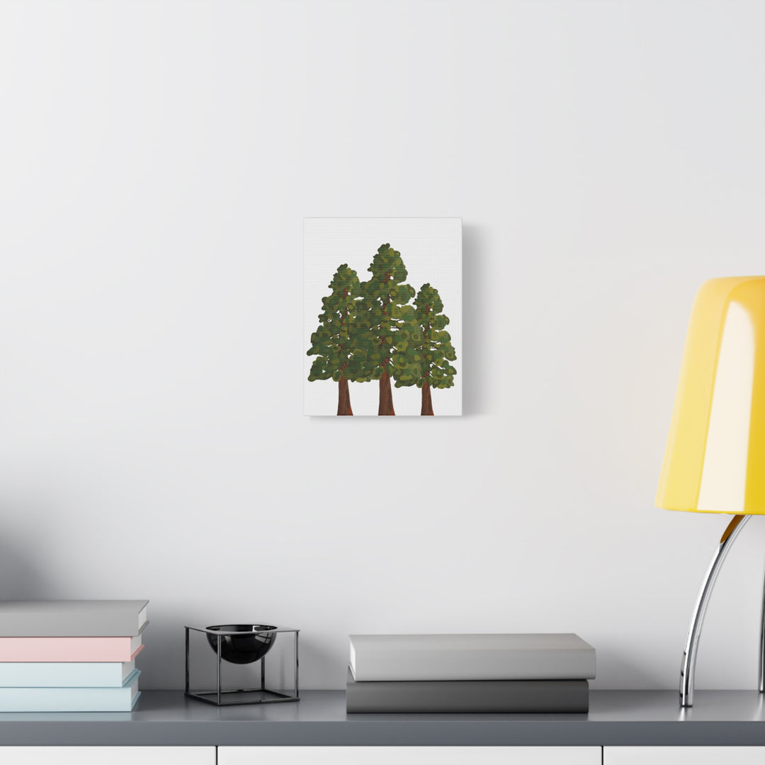 Coastal Redwoods Matte Canvas Print On 1.25 Inch Stretched Canvas For Serene Forest Wall Art In Living Rooms