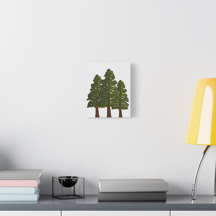 Coastal Redwoods Matte Canvas Print On 1.25 Inch Stretched Canvas For Serene Forest Wall Art In Living Rooms