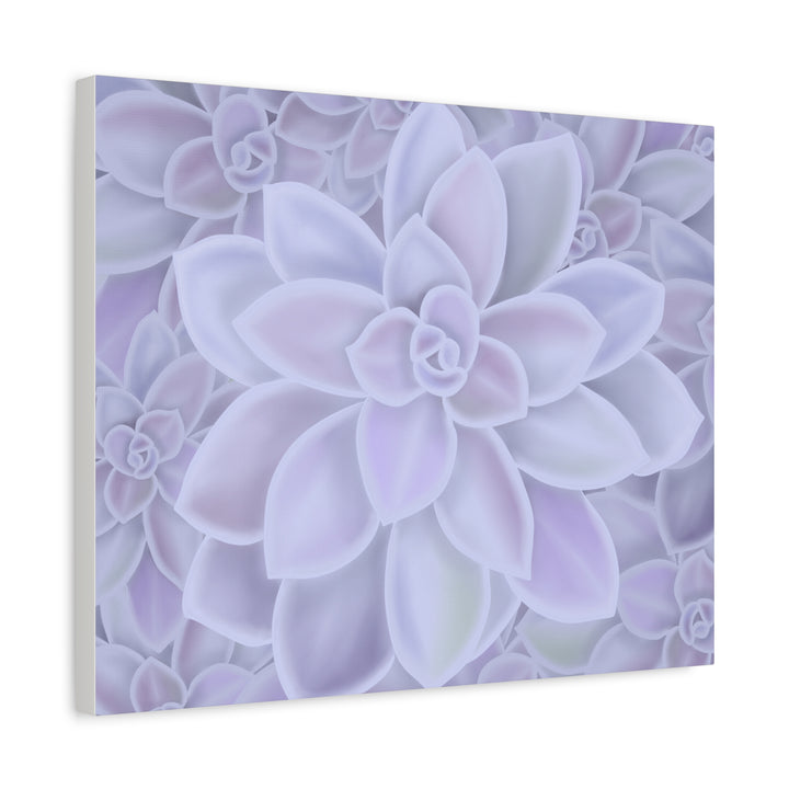 Graptopetalum Murasaki Succulent Canvas Art Print Pastel Purple Rosette Indoor Plant Decor
