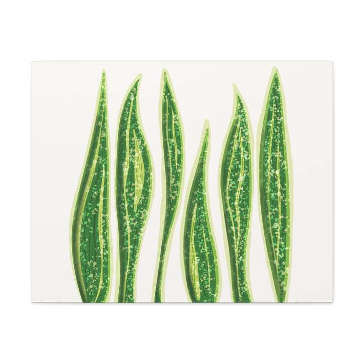 Snake Plant Canvas Print Matte 1.25 Inch Stretch Canvas Wall Art For Living Room Decor
