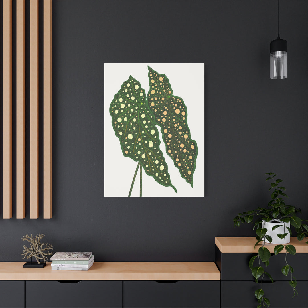 Begonia Maculata Canvas Premium Botanical Wall Art Print On Cotton Canvas With Matte Finish For Indoor Decor
