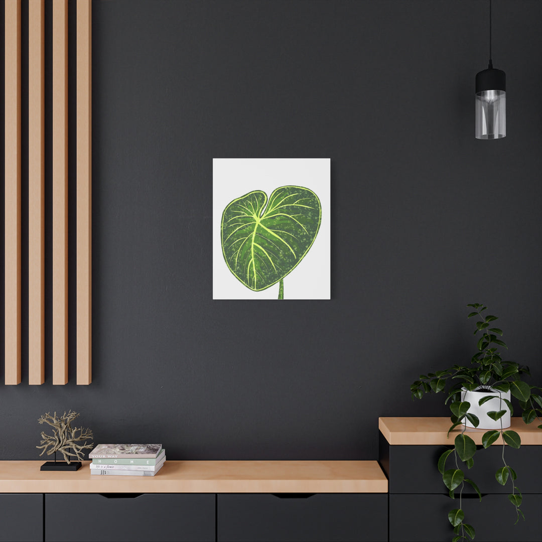 Philodendron Gloriosum Canvas Print Stretched Wall Art Botanical Leaf Print Matte Finish Gallery Wrapped Canvas