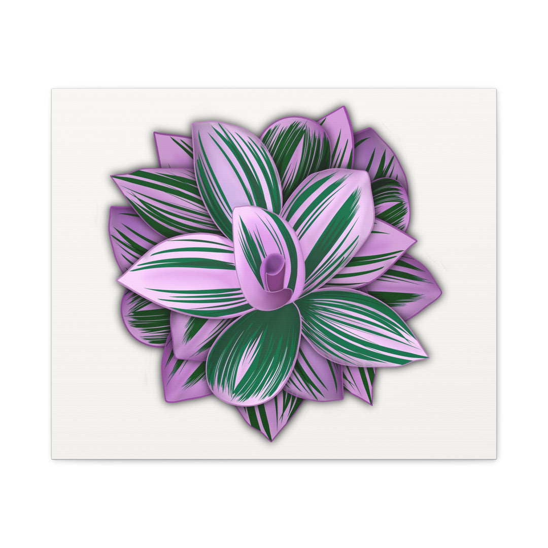 Tradescantia Nanouk Canvas Botanical Wall Art Print Pink Green Foliage On Stretched Cotton Canvas