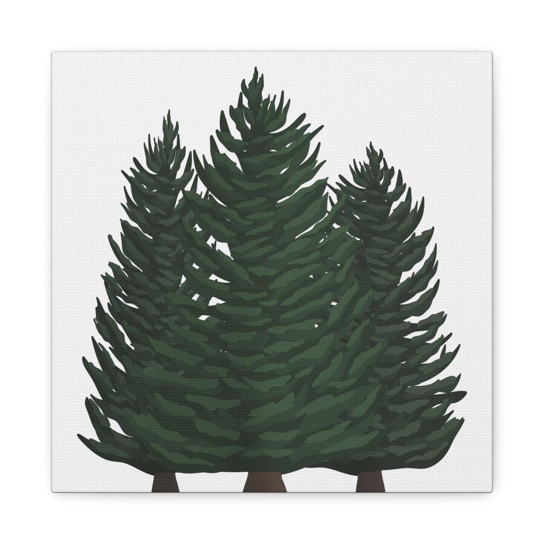 Douglas Fir Canvas Print – Wall Art