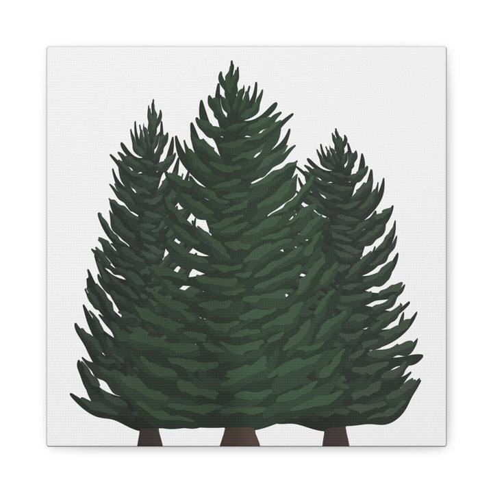 Douglas Fir Canvas Print – Wall Art