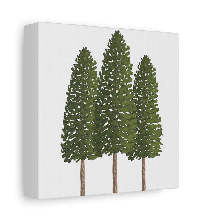Three Ponderosa Pine Canvas Wall Art Matte Stretched Print Minimalist Forest Landscape Decor