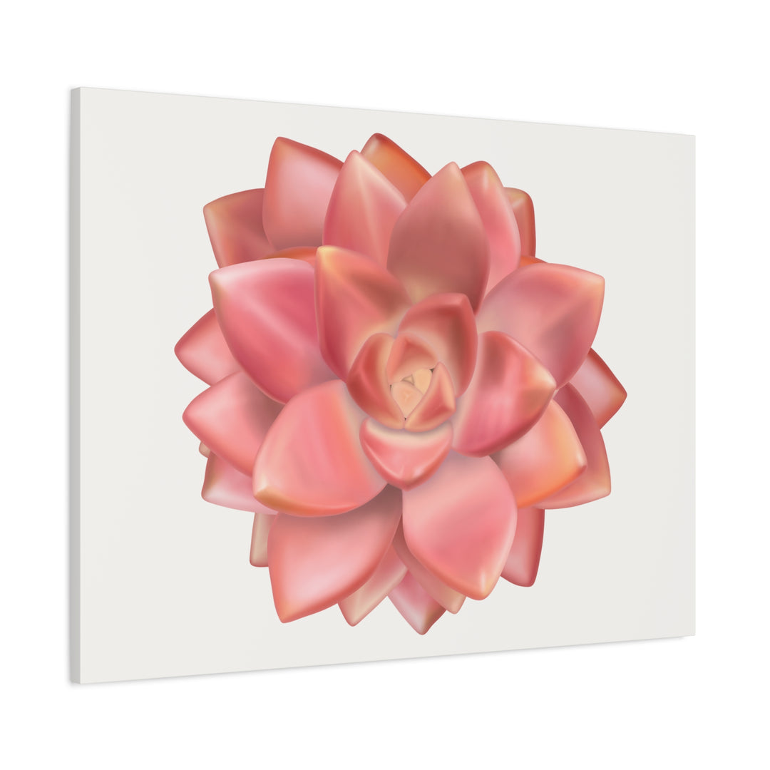 Succulent Canvas Art California Sunset Rosette Botanical Wall Art Print The Potted Pixel