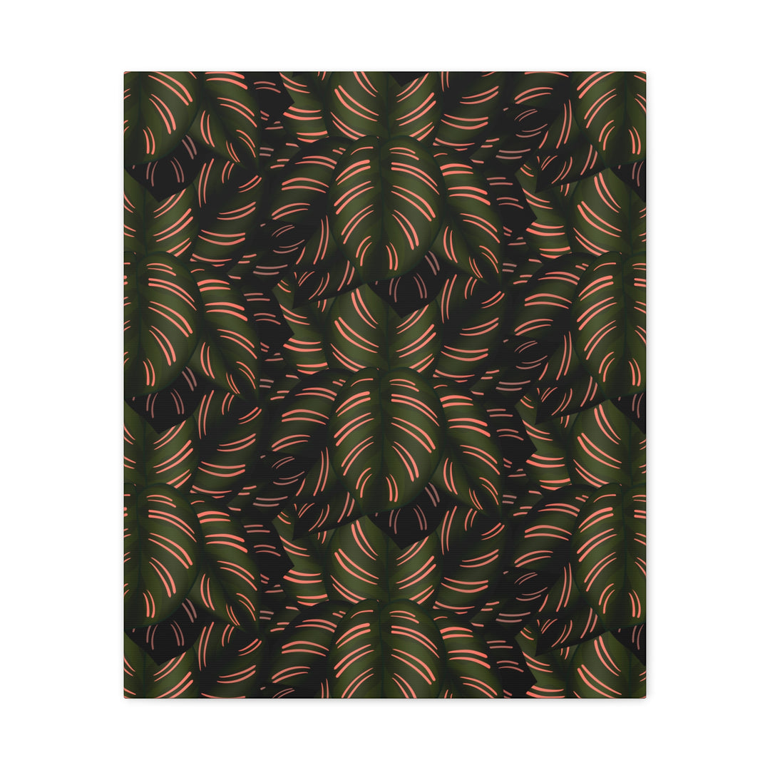 Calathea Pinstripe Canvas Print With Matte Finish Stretched Botanical Wall Art For Living Room Decor