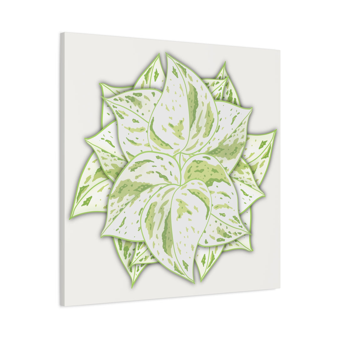 Snow Queen Pothos Canvas Wall Art Variegated Indoor Plant Leaf Poster Print Cotton Canvas